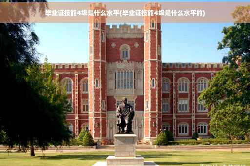 毕业证技能4级是什么水平(毕业证技能4级是什么水平的)