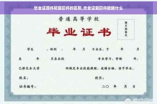 毕业证原件和复印件的区别,毕业证复印件能做什么
