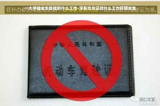 一大学肄业生能找到什么工作-没有毕业证找什么工作好呢女生