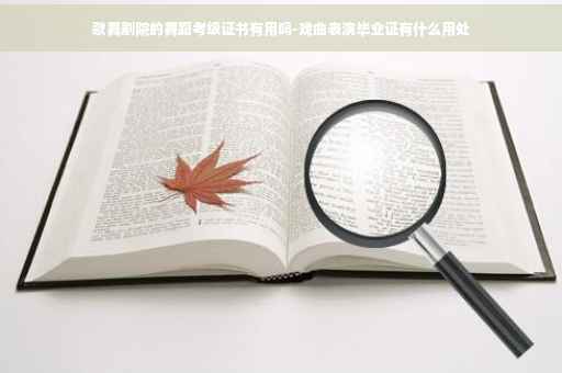 歌舞剧院的舞蹈考级证书有用吗-戏曲表演毕业证有什么用处