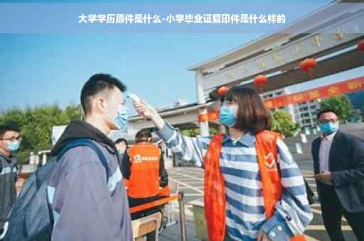 大学学历原件是什么-小学毕业证复印件是什么样的