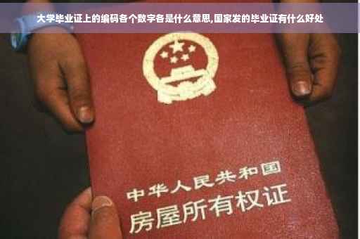 大学毕业证上的编码各个数字各是什么意思,国家发的毕业证有什么好处