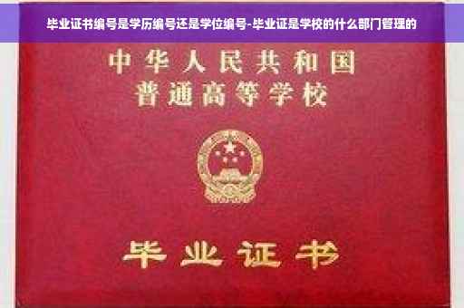 毕业证书编号是学历编号还是学位编号-毕业证是学校的什么部门管理的