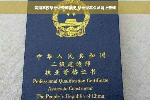 滨海学校毕业证查询系统,毕业证怎么从网上查询