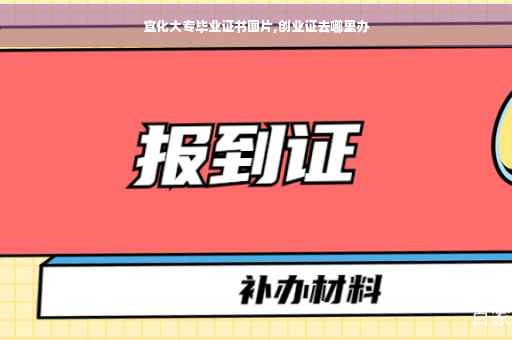 宣化大专毕业证书图片,创业证去哪里办