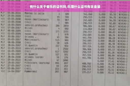 有什么关于音乐的证书吗,乐理什么证书有含金量
