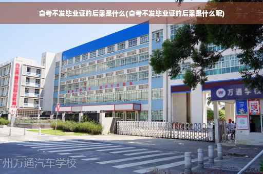 自考不发毕业证的后果是什么(自考不发毕业证的后果是什么呢)