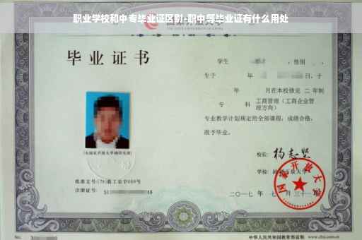 职业学校和中专毕业证区别-职中等毕业证有什么用处