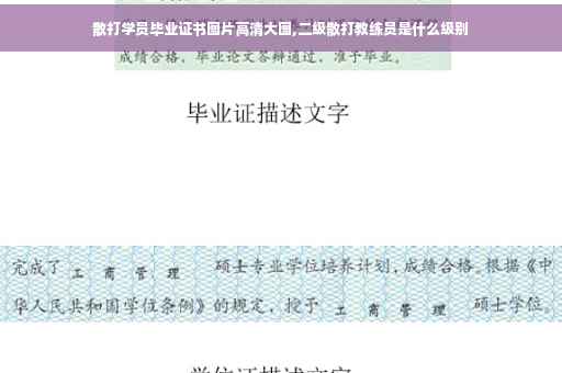 散打学员毕业证书图片高清大图,二级散打教练员是什么级别