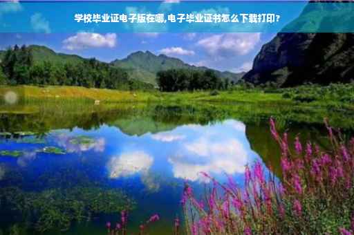 学校毕业证电子版在哪,电子毕业证书怎么下载打印? 学校毕业证电子版在哪,电子毕业证书怎么下载打印?