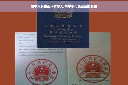 南宁六职校面积有多大,南宁不用毕业证的职校