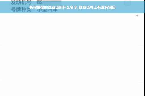 长得很像的毕业证叫什么名字,毕业证书上有没有钢印