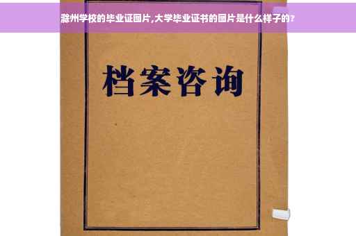 滁州学校的毕业证图片,大学毕业证书的图片是什么样子的?