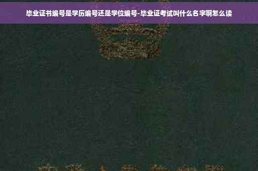 毕业证书编号是学历编号还是学位编号-毕业证考试叫什么名字啊怎么读