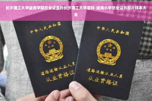 长沙理工大学城南学院毕业证盖的长沙理工大学章吗-城南小学毕业证书图片样本大全
