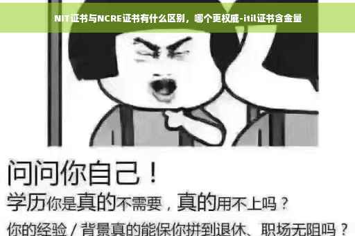 NIT证书与NCRE证书有什么区别，哪个更权威-itil证书含金量