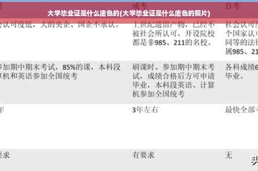 大学毕业证是什么底色的(大学毕业证是什么底色的照片)