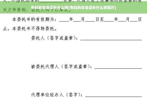 专科的毕业证长什么样(专科的毕业证长什么样图片)