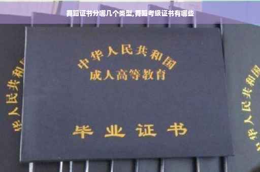 舞蹈证书分哪几个类型,舞蹈考级证书有哪些