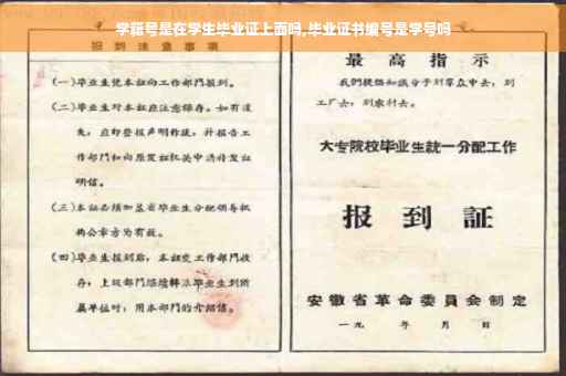 学籍号是在学生毕业证上面吗,毕业证书编号是学号吗