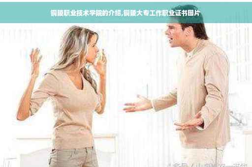 铜陵职业技术学院的介绍,铜陵大专工作职业证书图片