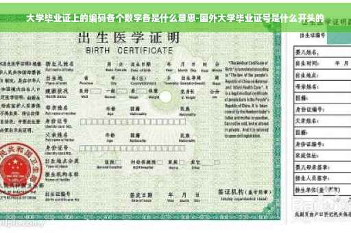 大学毕业证上的编码各个数字各是什么意思-国外大学毕业证号是什么开头的