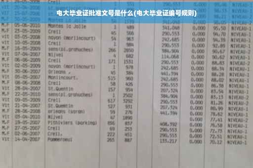 电大毕业证批准文号是什么(电大毕业证编号规则)