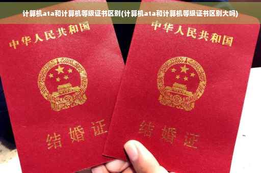计算机ata和计算机等级证书区别(计算机ata和计算机等级证书区别大吗)