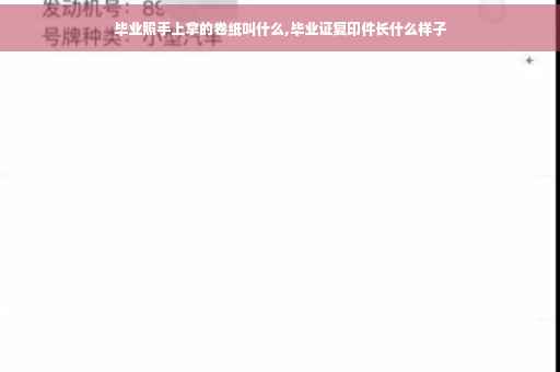 毕业照手上拿的卷纸叫什么,毕业证复印件长什么样子