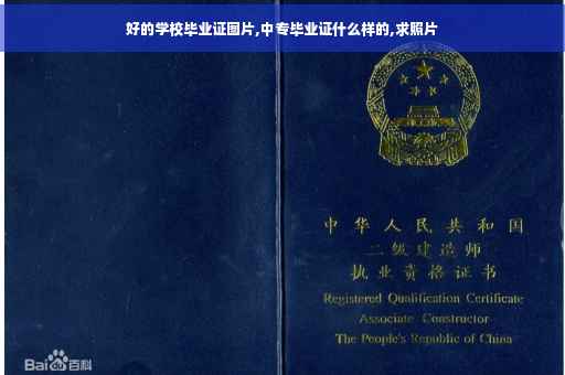 好的学校毕业证图片,中专毕业证什么样的,求照片