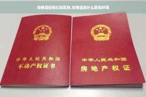 哈佛蓝标和红标区别,哈弗猛龙什么颜色好呢