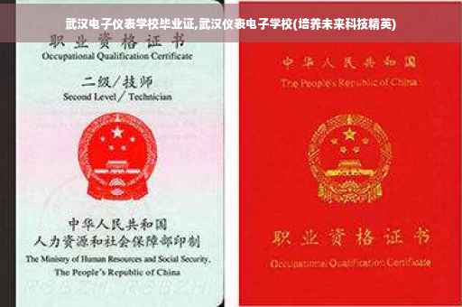武汉电子仪表学校毕业证,武汉仪表电子学校(培养未来科技精英)