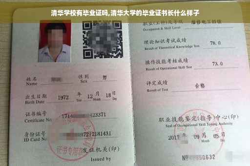 清华学校有毕业证吗,清华大学的毕业证书长什么样子