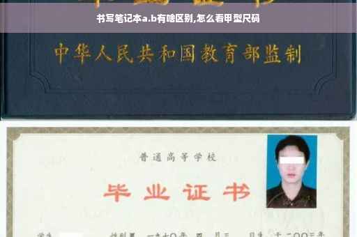 书写笔记本a.b有啥区别,怎么看甲型尺码