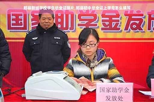 郏县新城学校学生毕业证图片,郏县初中毕业证上学号怎么填写