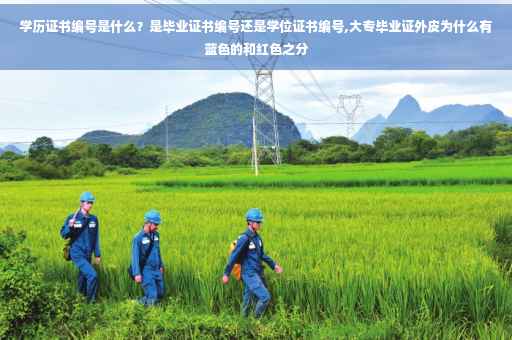 学历证书编号是什么？是毕业证书编号还是学位证书编号,大专毕业证外皮为什么有蓝色的和红色之分