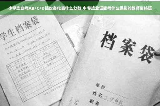 小学毕业考AB/C/D档次各代表什么分数,中专毕业证能考什么级别的教师资格证