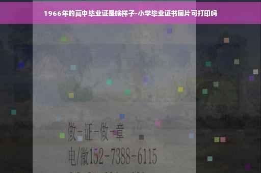 1966年的高中毕业证是啥样子-小学毕业证书图片可打印吗