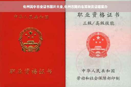 化州高中毕业证书图片大全,化州市网约车驾驶员证哪里办