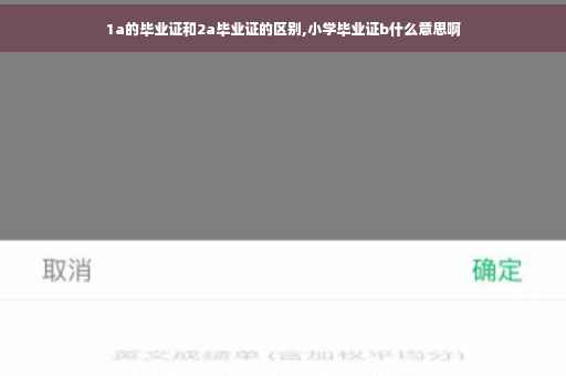 1a的毕业证和2a毕业证的区别,小学毕业证b什么意思啊
