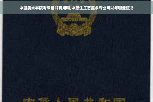 中国美术学院考级证书有用吗,中职生工艺美术专业可以考哪些证书