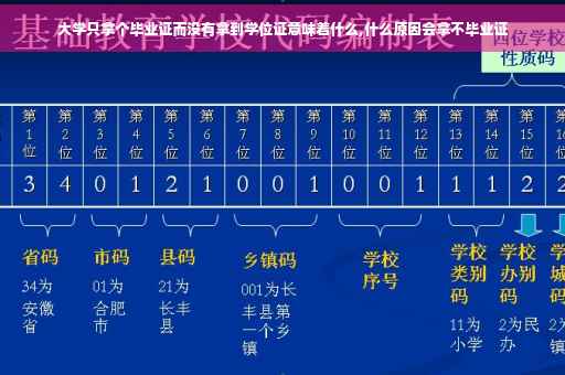 大学只拿个毕业证而没有拿到学位证意味着什么,什么原因会拿不毕业证
