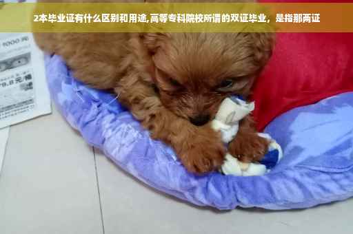 2本毕业证有什么区别和用途,高等专科院校所谓的双证毕业，是指那两证