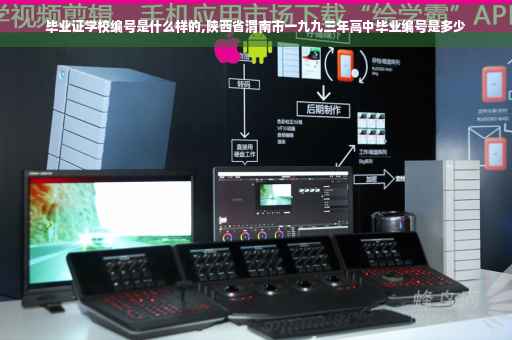 毕业证学校编号是什么样的,陕西省渭南市一九九三年高中毕业编号是多少