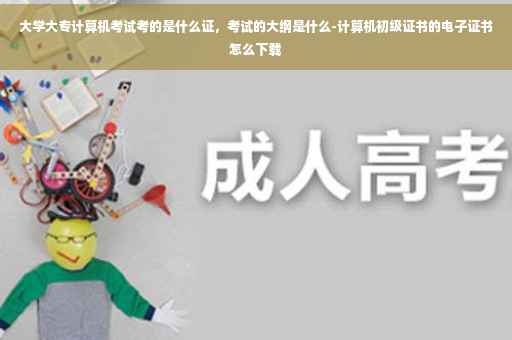 大学大专计算机考试考的是什么证，考试的大纲是什么-计算机初级证书的电子证书怎么下载