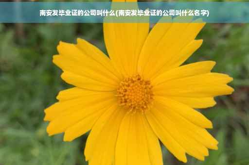 南安发毕业证的公司叫什么(南安发毕业证的公司叫什么名字)