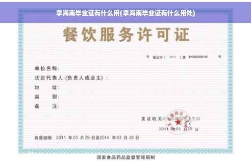 拿海南毕业证有什么用(拿海南毕业证有什么用处)