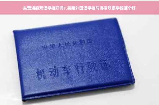 东莞海德双语学校好吗?,嘉荣外国语学校与海德双语学校哪个好