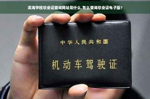 滨海学校毕业证查询网址是什么,怎么查询毕业证电子版?