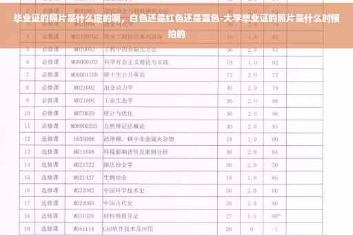 毕业证的照片是什么底的啊，白色还是红色还是蓝色-大学毕业证的照片是什么时候拍的